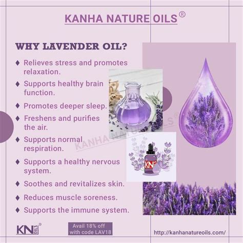 Lavender: Uses, Benefits, Side Effects, Precautions & More!.